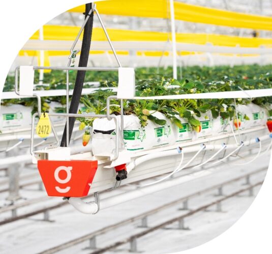 Irrigation Systems Growtec