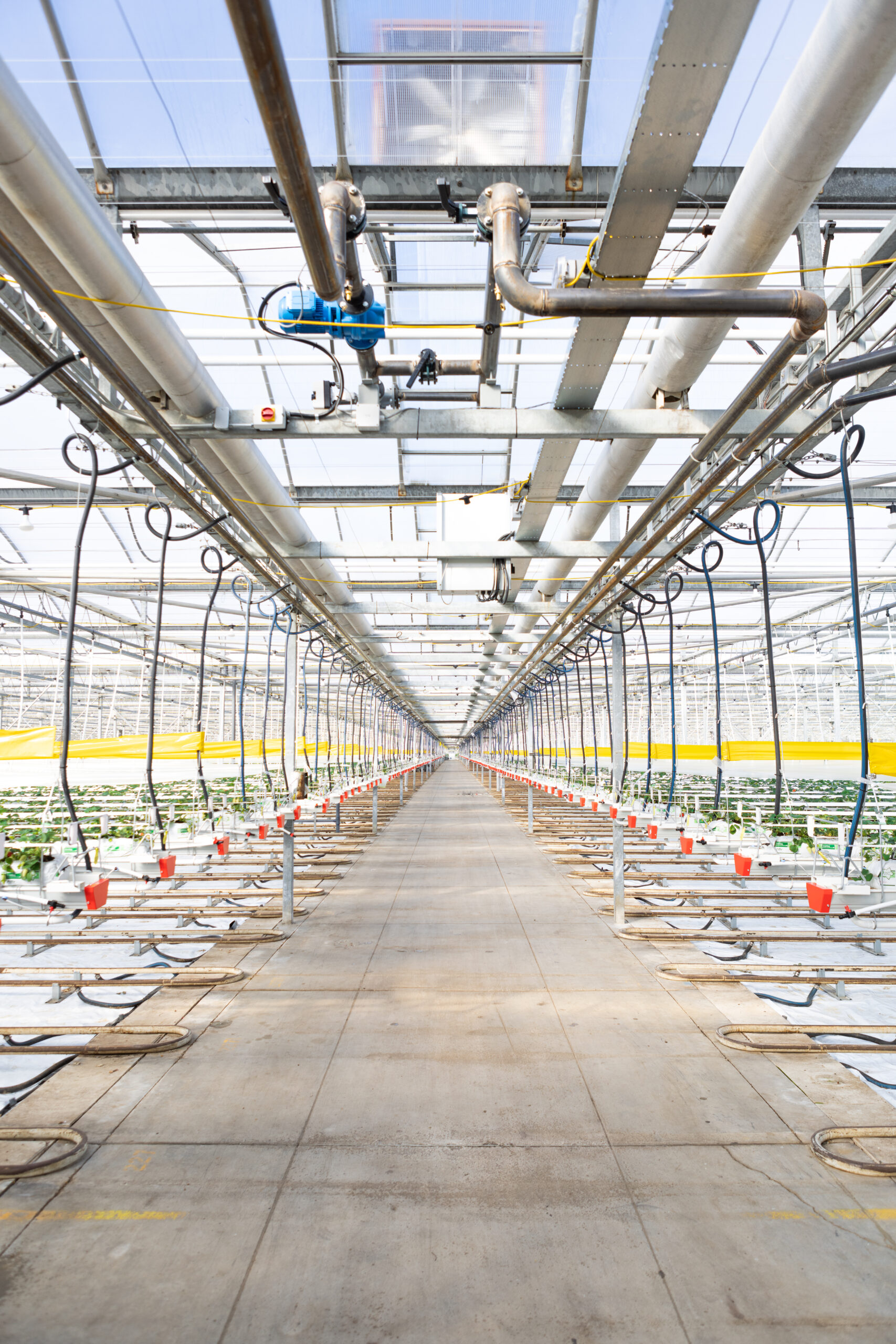 Growing System at Great Northern Hydroponics